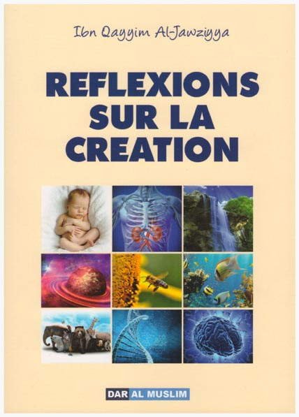 Réflexions sur la création